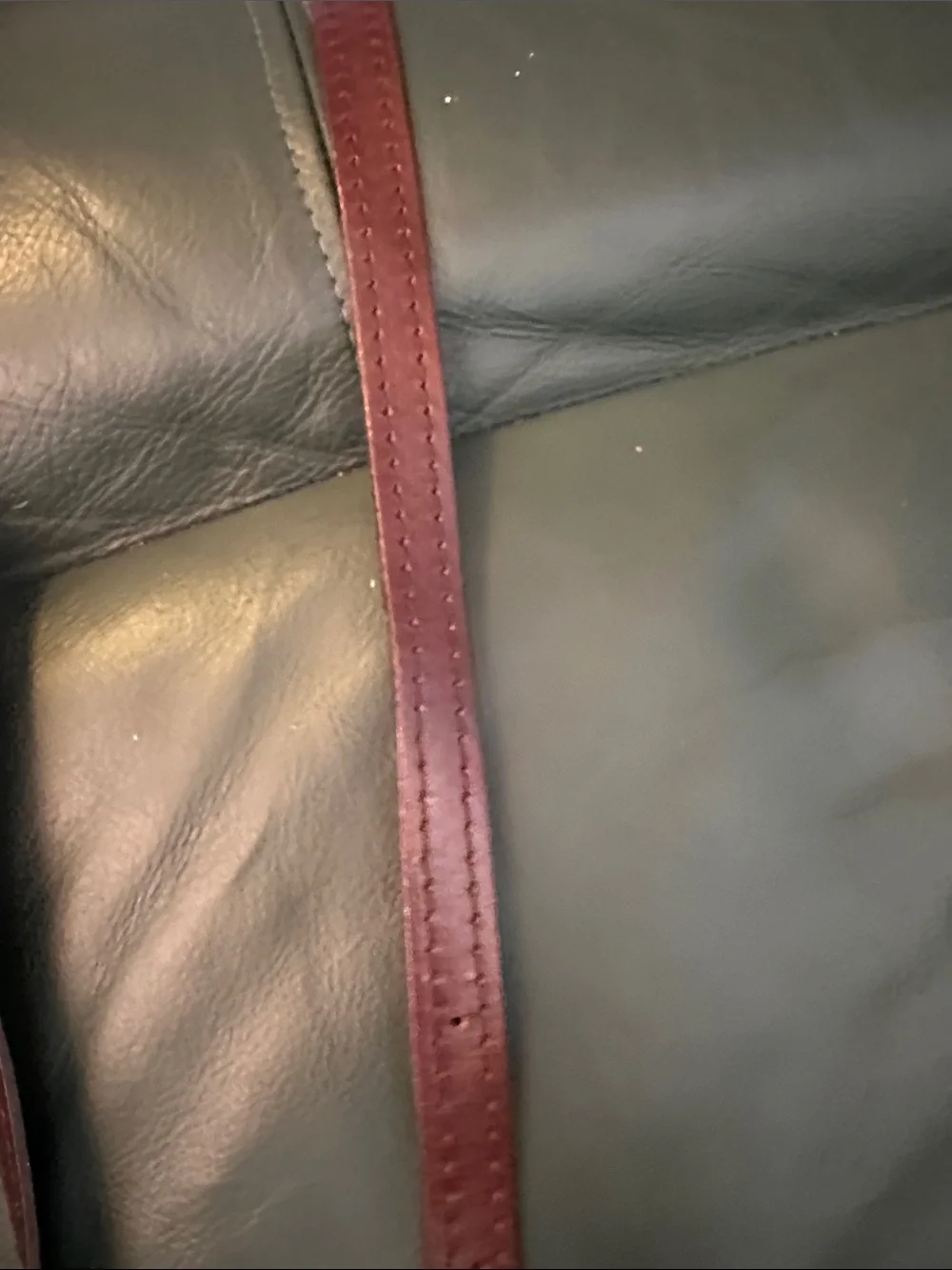 Classic Saddle Crossbody Bag in Burgundy